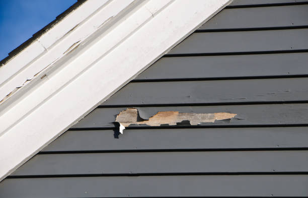 Best Siding Removal and Disposal  in Kailua, HI